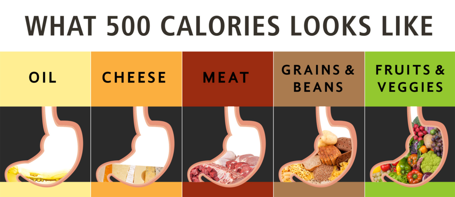 Check it out: This is what 500 calories can look like
